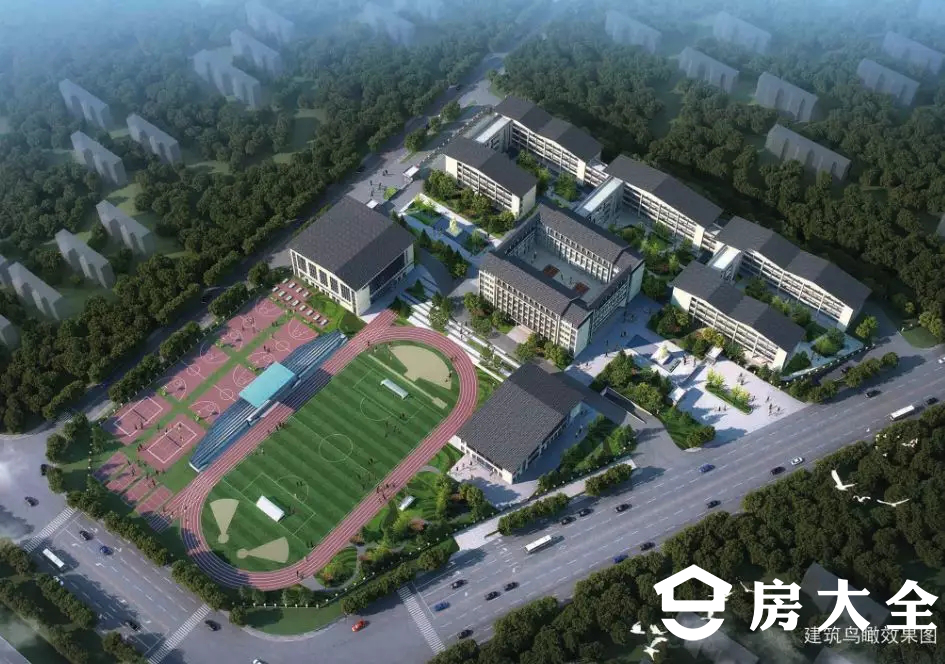 图片13.png